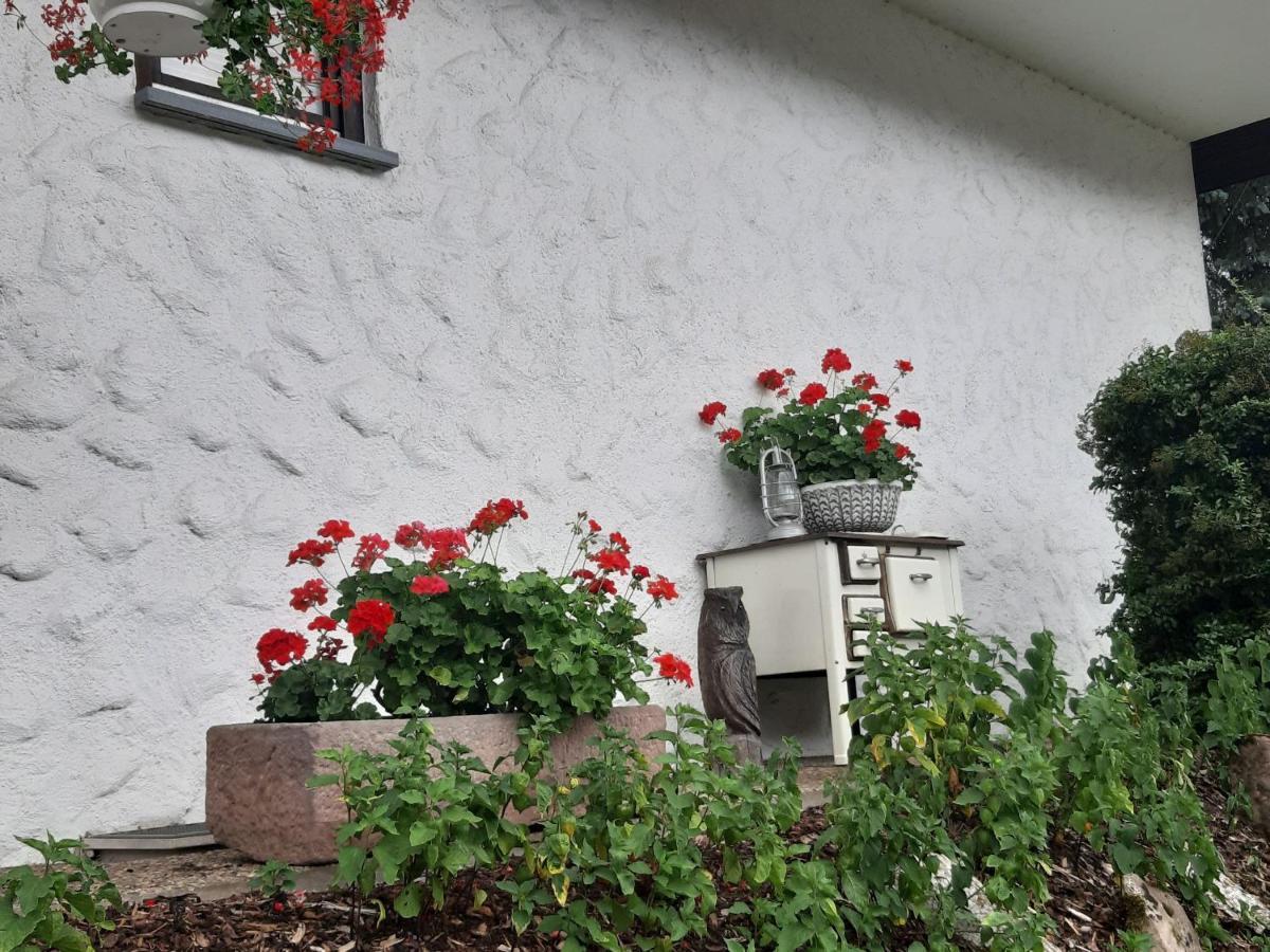 Ferienapartment Karle Nordrach ภายนอก รูปภาพ
